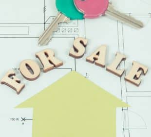 Quelle surface est prise en compte pour la vente ?