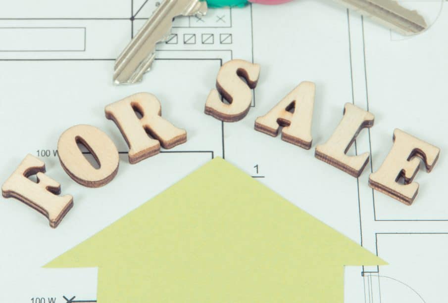 Quelle surface est prise en compte pour la vente ?